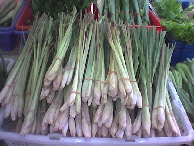 Какие травы и пряности используются для приготовления блюд тайской кухни